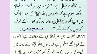 اسلامی معلومات 556