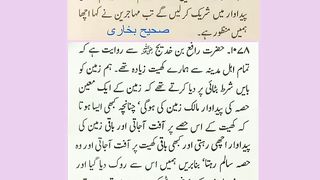 اسلامی معلومات 557