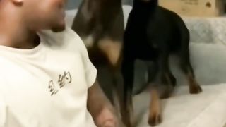 Comedy video 66