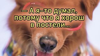 Разговаривает влюблённая пара