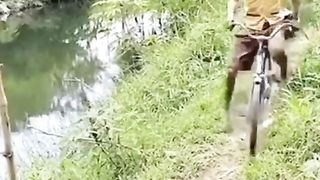 Funny videos 432