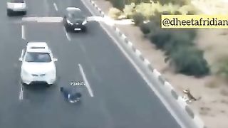 Pakistan trying to reach in final