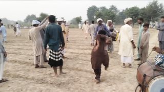 Bull Race #bull race in Pakistan