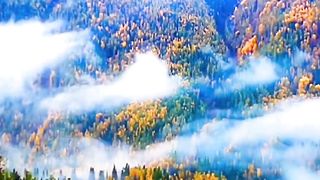 The autumn colors are so charming