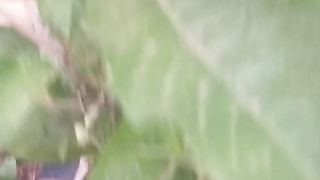 Animal lovers