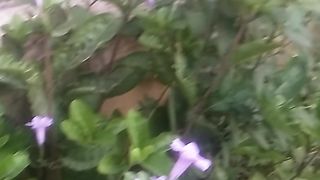 Animal lovers