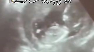 Shikwa tu banta ha