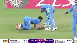 5 wicket for Muhammad shami