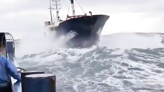 The Ocean Power and Beuty
