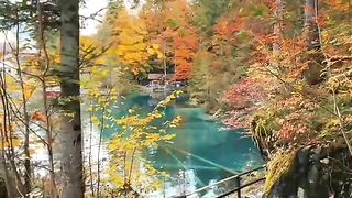 Auntmn looks like Painting in Switzerland
