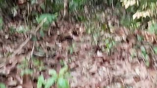 Cari Kayu Bulat di Hutan