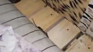Rodent Invasion | Severe Mice Infestation in Russian Dugout | RCF