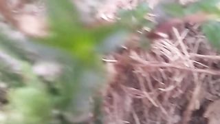 Animal lovers