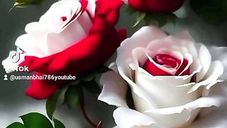 Na jaty hm pardyc