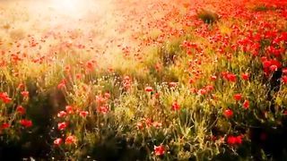Pure Nature Ultra Calm | Sweet Feeling | Very Beautiful Nature | #nature #viralvideo #febspot