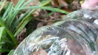 Survival camping lifehacks_ Wilderness Water Usage