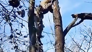 Heartwarming Rescue | Russian Soldier Saves Cat Trapped on Tree with Metal Can | RCF