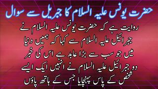 Hazrt Younus ka jebrail SE sawal | حضرت یونس کاجبریل سے سوال