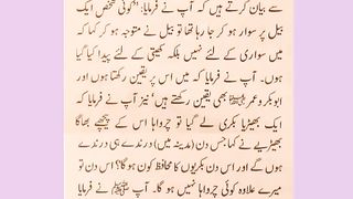 اسلامی معلومات 587