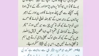 اسلامی معلومات 588