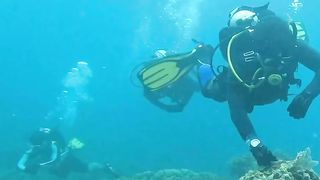 Scuba Diving