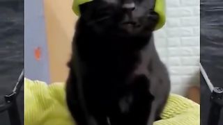 Random videos meme