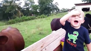Funny Vidéo Baby Animals