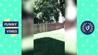 [30 MIN] ULTIMATE Funny Animals Compilation 2018 - Best Animal Videos | Funny Vine