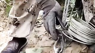 Может в жизни пригодится