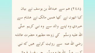 Sahih bukhari Hadees No 238 and 239 // books