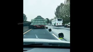 I hate those red traffic cones!