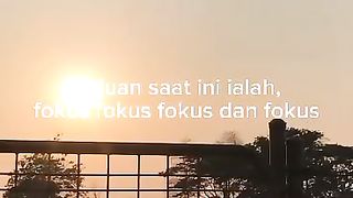 Casis