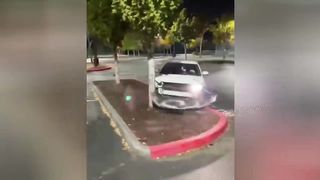 Bad tree!