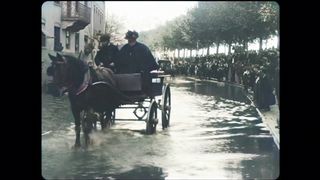 The Flood of the Lyon Thorne River in France in 1896