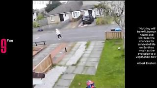 video compilation 2