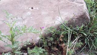 welcom to pakistan/korang river Bharakahu Islamabad pakistan/SohailT22vlog #muree #islamabad