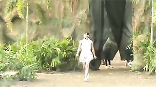 Dinosaur Park ( Part 1 )
