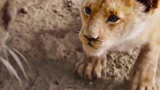 Action movies Trailer 2024 11