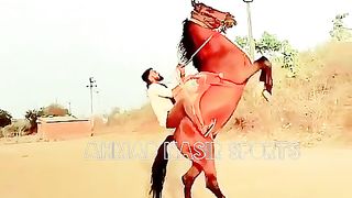 #foryou #foryoupage #fyp #Ahmad#horsepower#trending #14#fyp