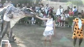 Dinosaur Park ( End )