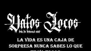 Un AMV De Este Servidor