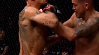 Ufc mma trending