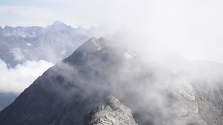 Wild wonders: exploring nature's beauty