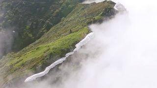 Nature's symphony: visual door