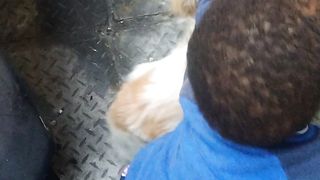 The first dog to say a word in the world