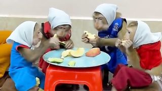 Funny Monkey Viral Video 64