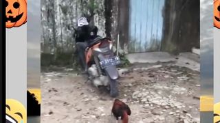 Video lucu 112