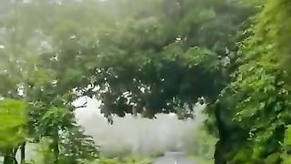 traveling whatsapp status, nature whatsapp status_tamil,travel status, nature status,status status.