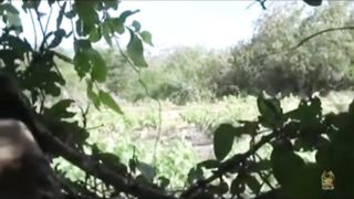 Somalia | Al-Shabab Ambushes Pickup Truck with IED | RCF