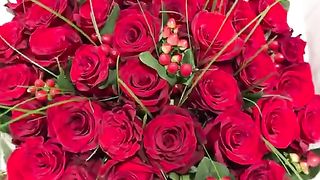 Bouquet de roses rouge. un bouquet d’amour